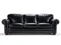 Sofás 3 plazas tapizado de aspecto cuero 220 x 95 x 88 cm - Negro - Diseño clásico con brazos redondeados para salón